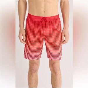 Nike Men’s Stripe Volley Swim Trunks